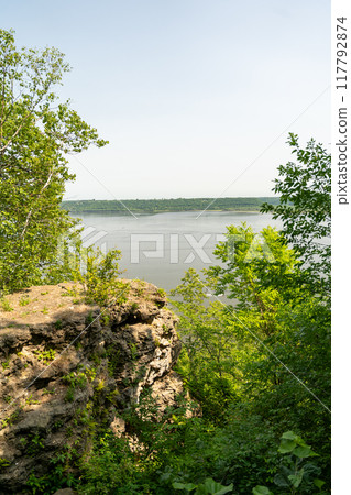A gorgeous view of water near trees and plants at a local park in Minnesota. 117792874