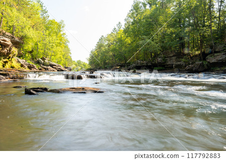 A gorgeous view of water near trees and plants at a local park in Minnesota. A gorgeous view of water near trees and plants at a local park in Minnesota. 117792883