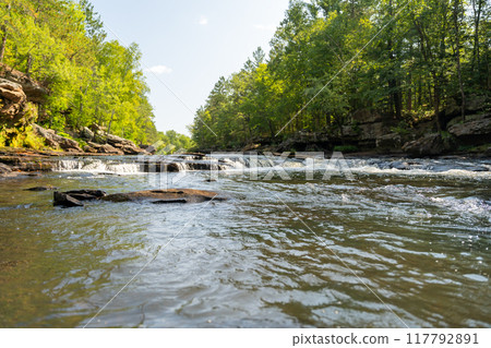 A gorgeous view of water near trees and plants at a local park in Minnesota. 117792891