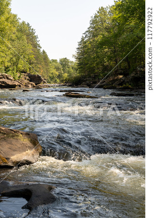 A gorgeous view of water near trees and plants at a local park in Minnesota. A gorgeous view of water near trees and plants at a local park in Minnesota. 117792922