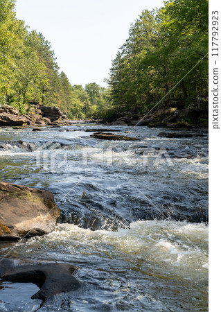 A gorgeous view of water near trees and plants at a local park in Minnesota. A gorgeous view of water near trees and plants at a local park in Minnesota. 117792923