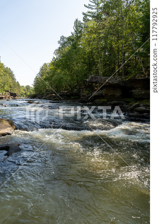 A gorgeous view of water near trees and plants at a local park in Minnesota. 117792925