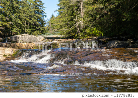 A gorgeous view of water near trees and plants at a local park in Minnesota. 117792933