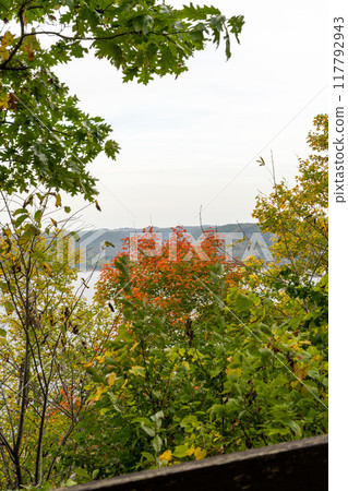 A gorgeous view of water near trees and plants at a local park in Minnesota. A gorgeous view of water near trees and plants at a local park in Minnesota. 117792943