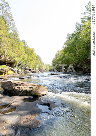 A gorgeous view of water near trees and plants at a local park in Minnesota. 117792944