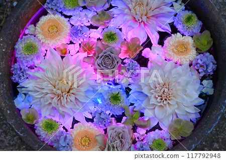 Illuminated flower water Illuminated flower water 117792948