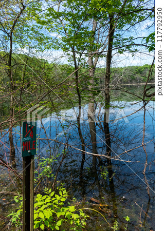 A gorgeous view of water near trees and plants at a local park in Minnesota. A gorgeous view of water near trees and plants at a local park in Minnesota. 117792950