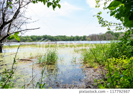 A gorgeous view of water near trees and plants at a local park in Minnesota. A gorgeous view of water near trees and plants at a local park in Minnesota. 117792987