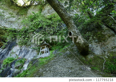 鳥取縣四季漫步 春 三德山 鳥取縣四季漫步 春 三德山 117793218