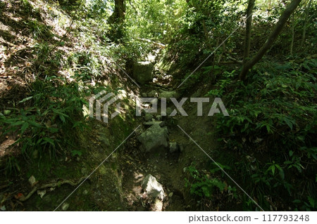 Tottori Four Seasons Walk Spring Mt. Mitoku Tottori Four Seasons Walk Spring Mt. Mitoku 117793248