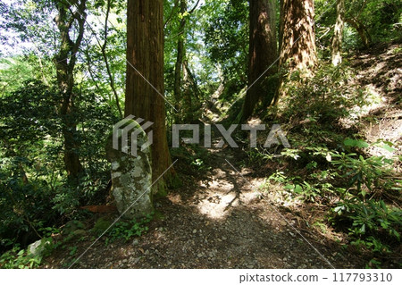 Tottori Four Seasons Walk Spring Mt. Mitoku Tottori Four Seasons Walk Spring Mt. Mitoku 117793310