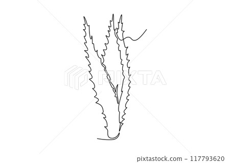 save - one time 117793620