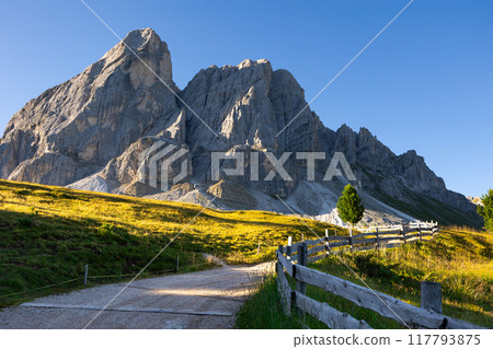 Dirt road lies among green grass meadows and wooded areas in Mont-de-Fornel region, Dolomites. Dirt road lies among green grass meadows and wooded areas in Mont-de-Fornel region, Dolomites. 117793875