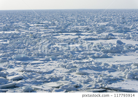 Drift ice covering the coast of Shiretoko Drift ice covering the coast of Shiretoko 117793914