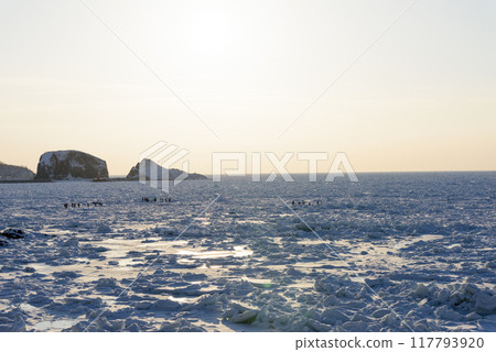 流冰覆蓋知床海岸 流冰覆蓋知床海岸 117793920
