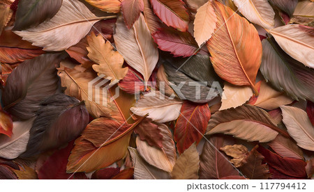 Fallen leaves  117794412