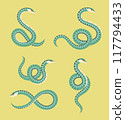 Green snakes collection 117794433