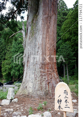 奈良郡室大樓龍軒神社/時事富士之神樹 117794721