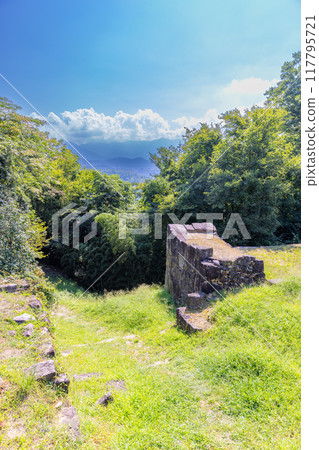 樹苗城堡廢墟 117795721