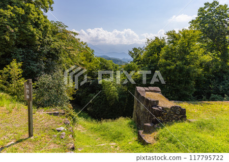 樹苗城堡廢墟 117795722