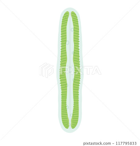 Honeycomb Honeycomb 117795833