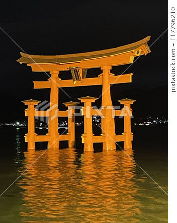 浮在水面上的鳥居 117796210