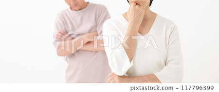 思維的年長夫婦 117796399