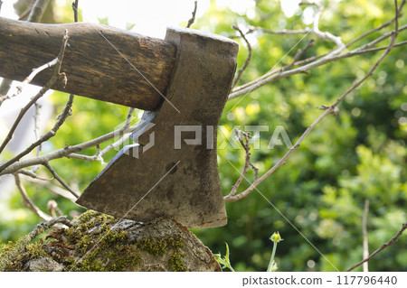 Close-up view of an axe lodged in wood, encircled by lush green grass Close-up view of an axe lodged in wood, encircled by lush green grass 117796440