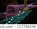 Illuminated tunnel 117796596