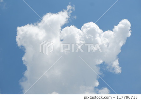 blue sky with cloud. natural background with copy space. blue sky with cloud. natural background with copy space. 117796713