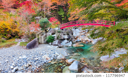 Yumori Valley (Autumn) Yumori Valley (Autumn) 117796947