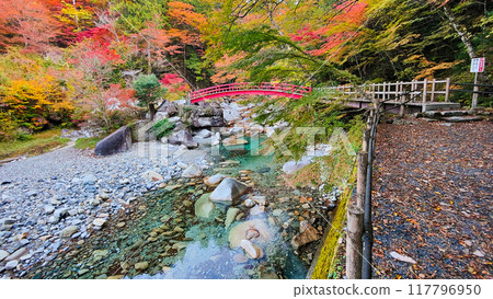 Yumori Valley (Autumn) Yumori Valley (Autumn) 117796950