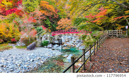 湯森溪谷（秋季） 117796954