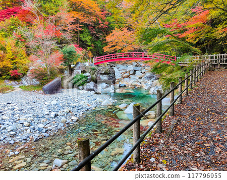 湯森溪谷（秋季） 117796955