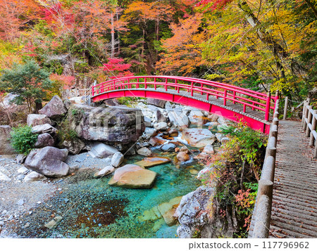 Yumori Valley (Autumn) 117796962
