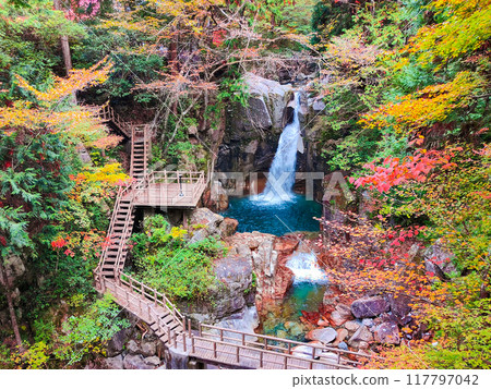 湯森溪谷（秋季）：龍神瀑布 117797042