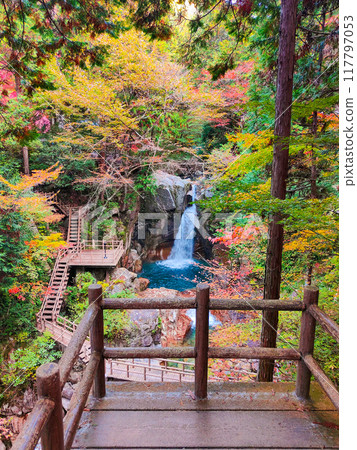 湯森溪谷（秋季）：龍神瀑布 117797053