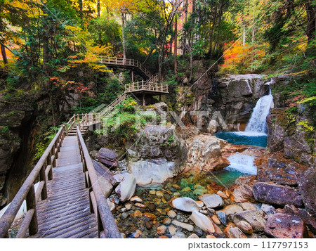 湯森溪谷（秋季）：龍神瀑布 117797153