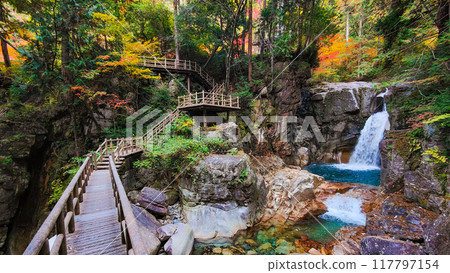 湯森溪谷(秋季):龍神瀑布 湯森溪谷(秋季):龍神瀑布 117797154