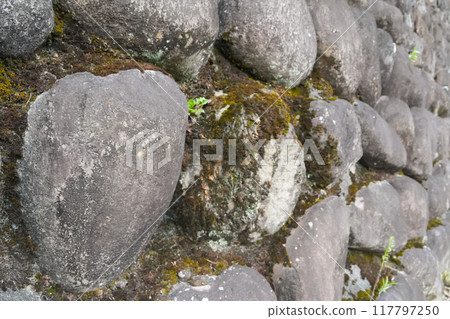 有青苔的一個石牆 117797250