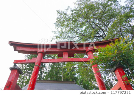 神社鳥居 神社鳥居 117797251