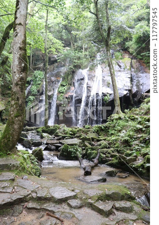 Kanebiki Falls, Miyazu City, Kyoto Prefecture 117797545