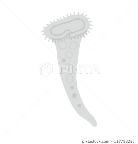 史丹特單色 117798285