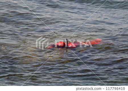 Divers Conducting Underwater Research. Under the Waves Near the Shore. Divers are seen conducting underwater research in the sea and in an area close to the shore. Divers Conducting Underwater Research. Under the Waves Near the Shore. Divers are seen conducting underwater research in the sea and in an area close to the shore. 117798410