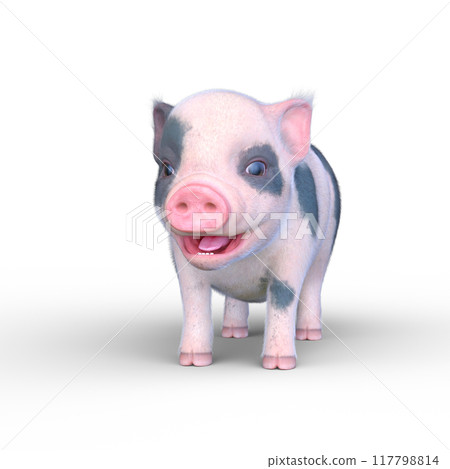 Mini pig Mini pig 117798814
