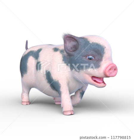Mini pig Mini pig 117798815