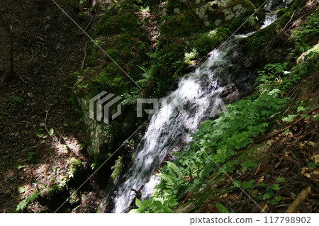 Tottori Four Seasons Walk Spring Nagisan Mountain Climbing 117798902