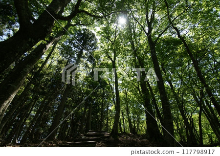 Tottori Four Seasons Walk Spring Nagisan Mountain Climbing Tottori Four Seasons Walk Spring Nagisan Mountain Climbing 117798917