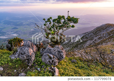 [滋賀縣]眺望琵琶湖畔的夜景和伊吹山山頂的景色 117799078