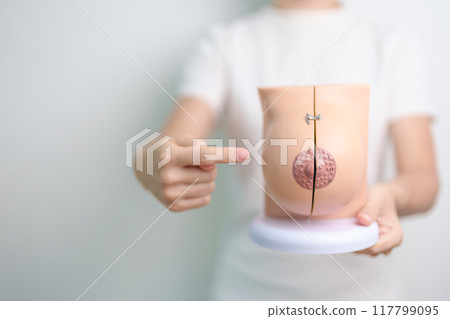 woman holding Breast Anatomy model. Breast Augmentation Surgery, October Breast Cancer Awareness month, implant, Diagnosis, Beauty woman enlargement and medical education concept 117799095
